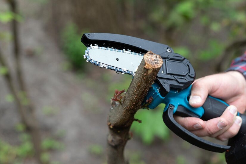 hand-holds-light-chain-saw-with-battery-trim-broken-branch-tree-sunny-day_106745-1363